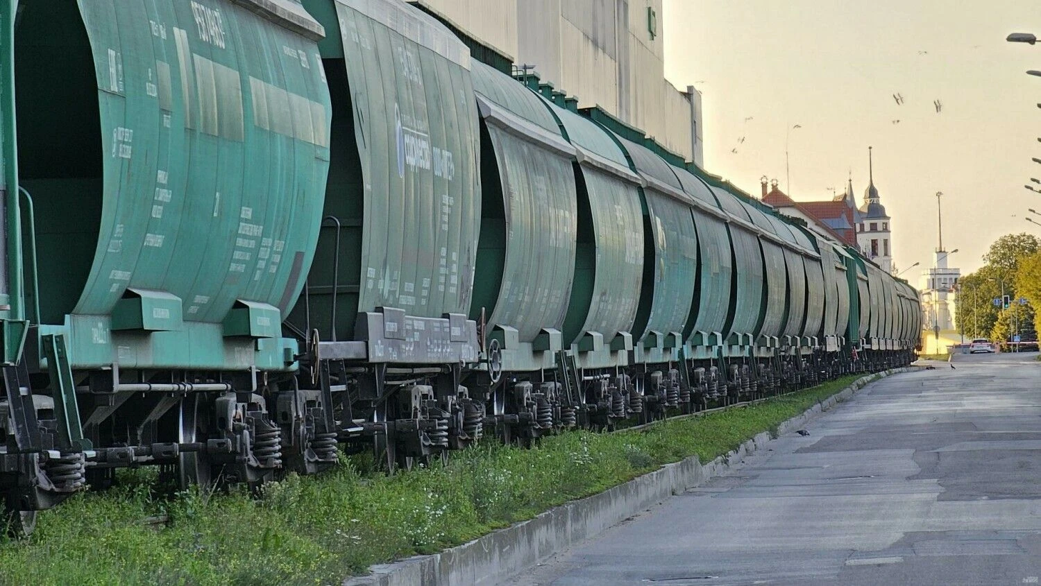 Lino Butkaus (VŽ) nuotr.