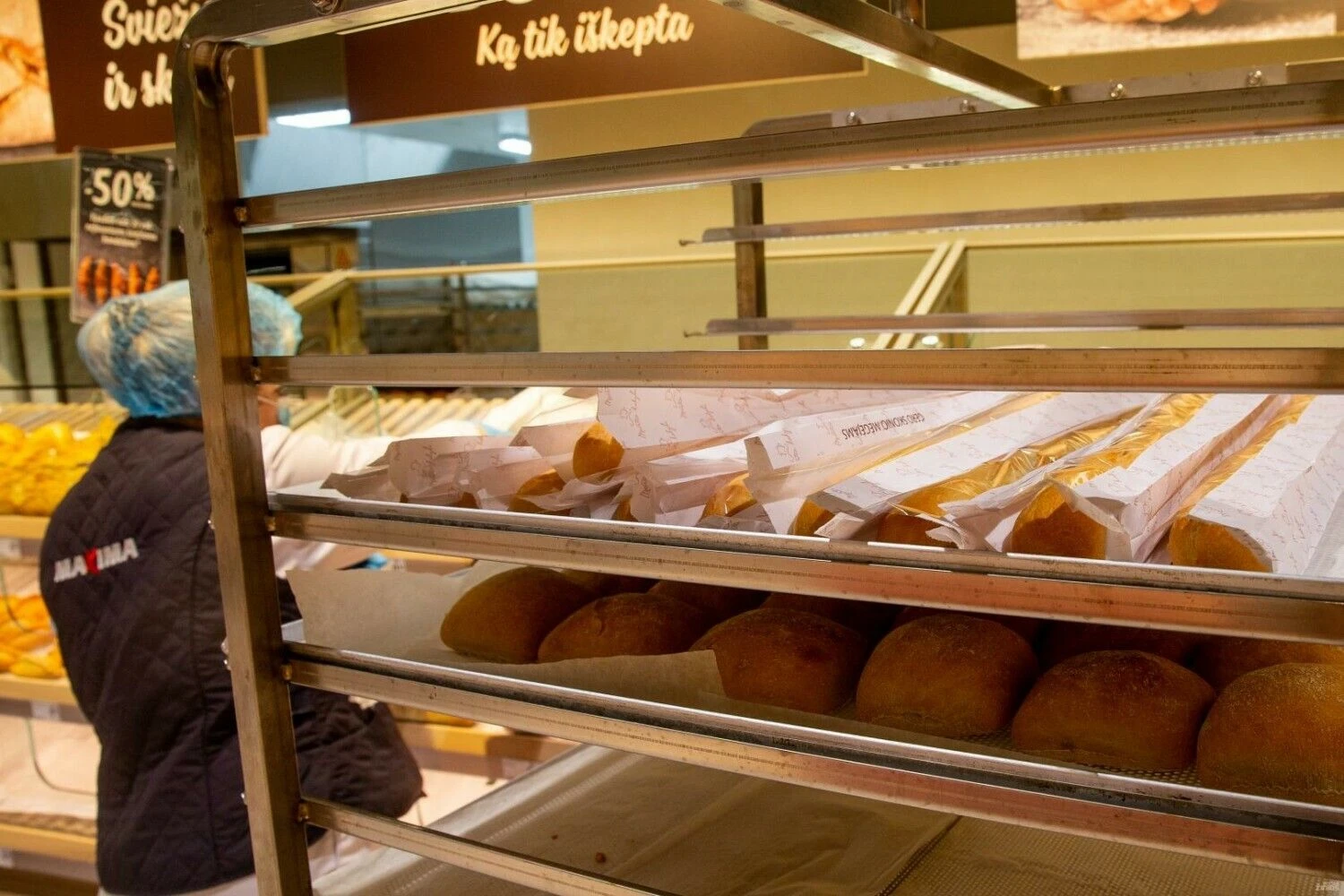 Vladimiro Ivanovo (VŽ) nuotr.