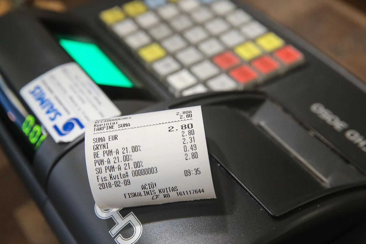 Vladimiro Ivanovo (VŽ) nuotr.