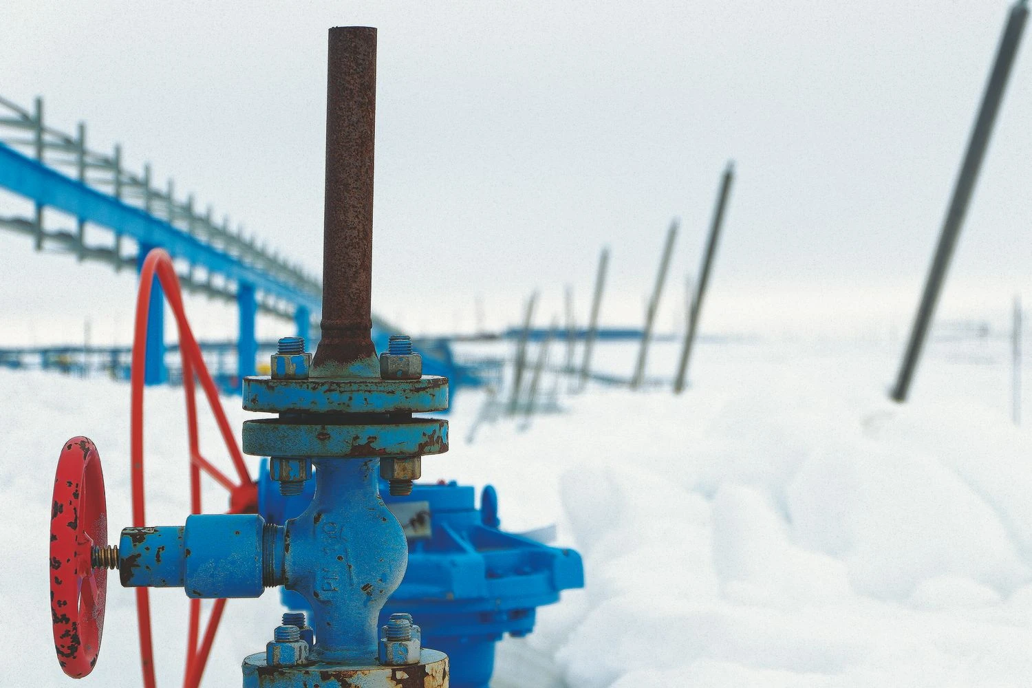 Naglio Navako (VŽ) nuotr.