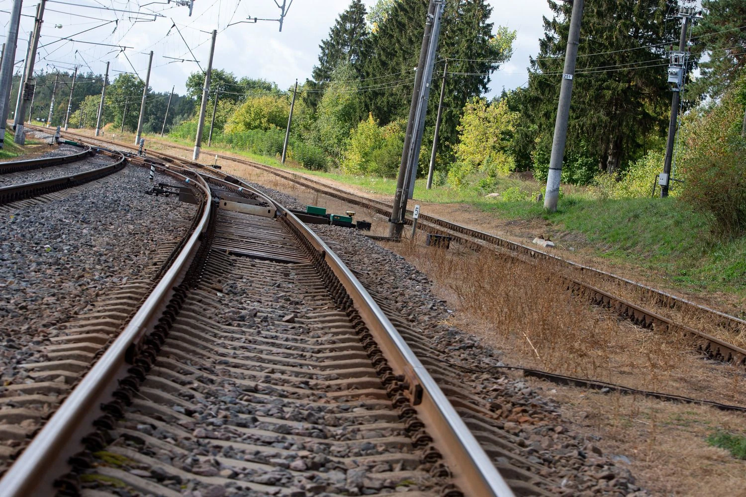 Vladimiro Ivanovo (VŽ) nuotr.