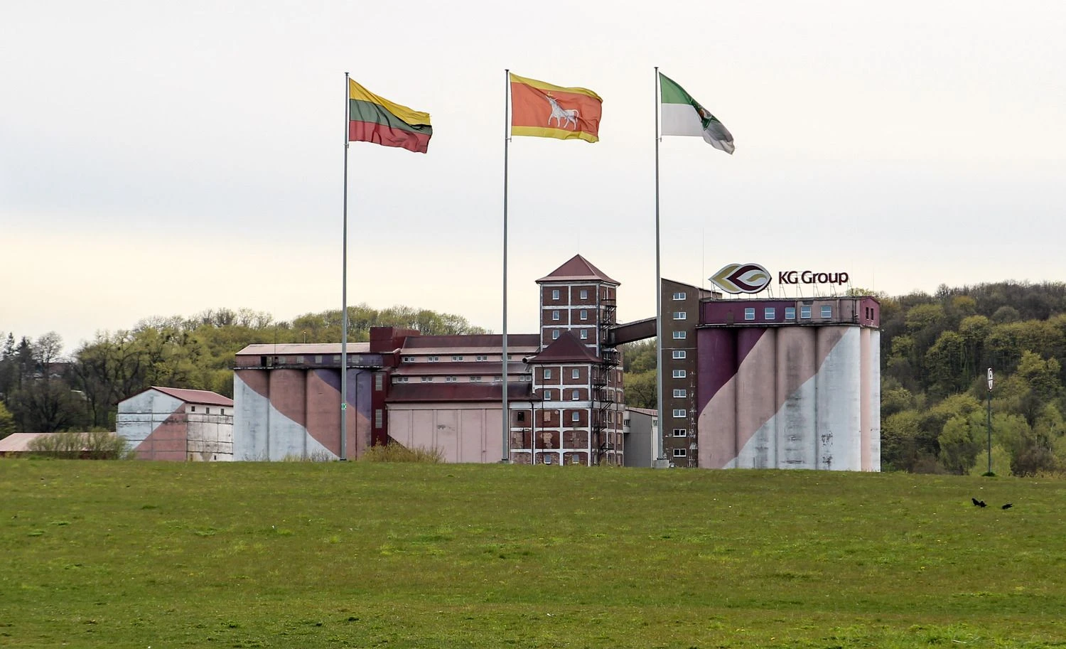 Mildos Tarcijonaitės (VŽ) nuotr.