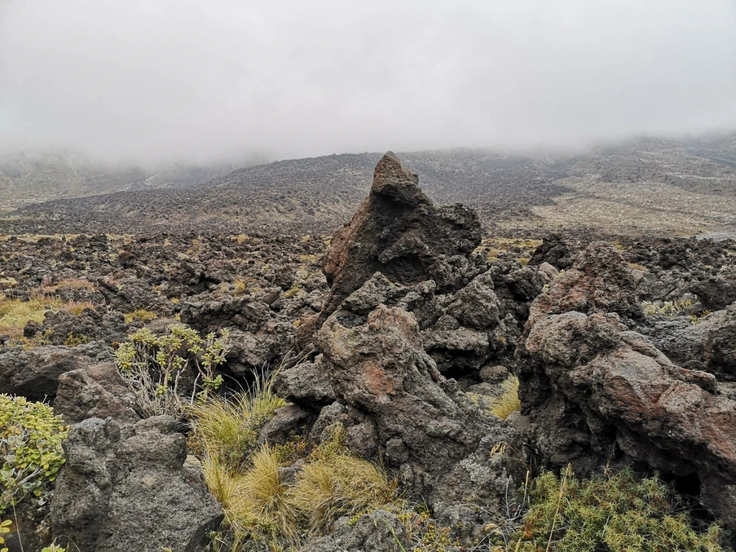 Pakeliui į Tongaryro kalnų perėją žemė nusėta sustingusiais lavos gabalais. Rimvydo Ragausko nuotr.