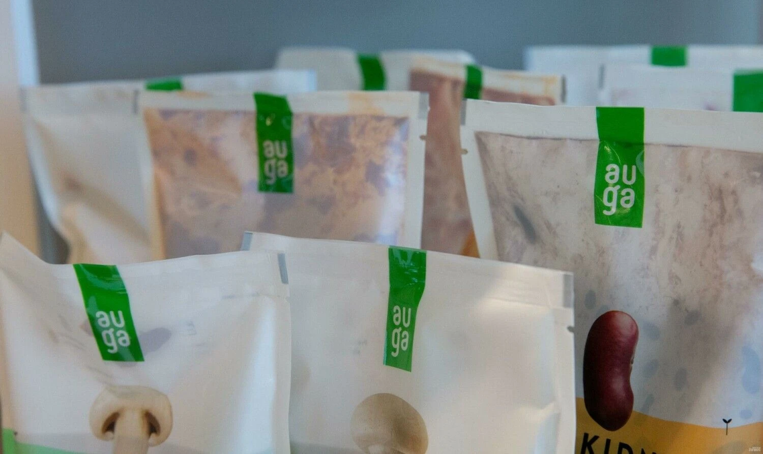 Juditos Grigelytės (VŽ) nuotr.