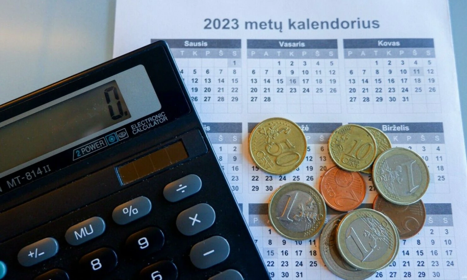 Juditos Grigelytės (VŽ) nuotr.