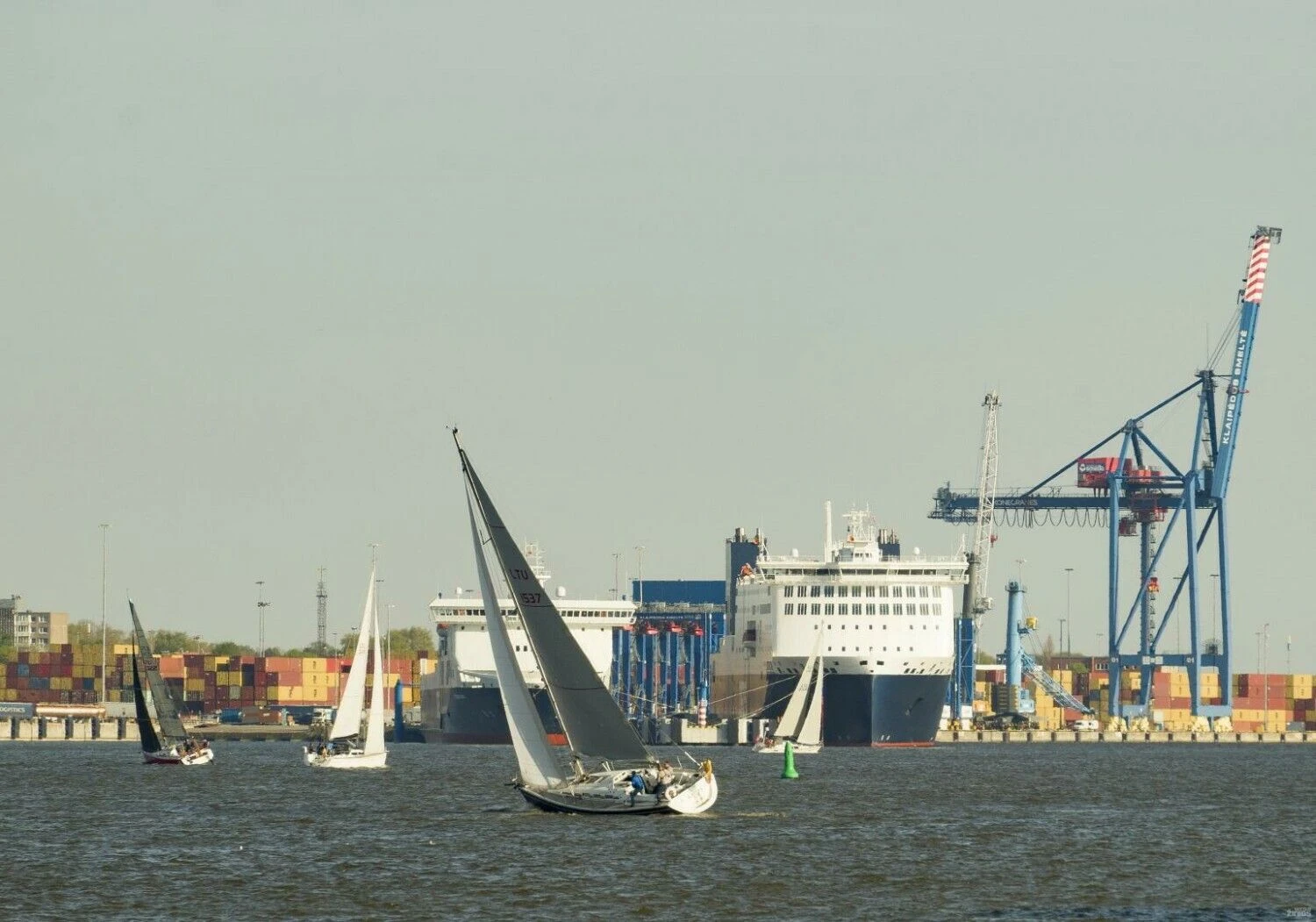 Algimanto Kalvaičio nuotr.