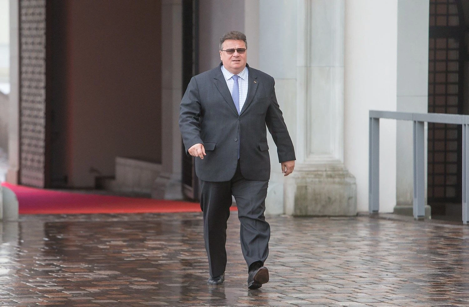Linas Linkevičius, užsienio reikalų ministras. Juditos Grigelyt?s (VŽ) nuotr.