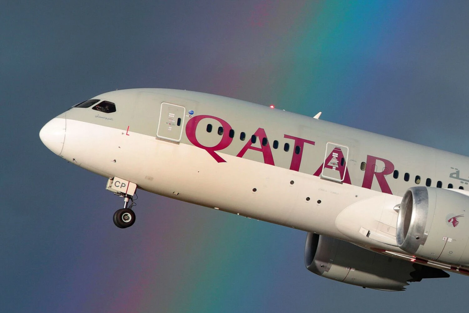 „Qatar Airways“ orlaivis. Marko McEwano (CATERS NEWS / „Scanpix“)