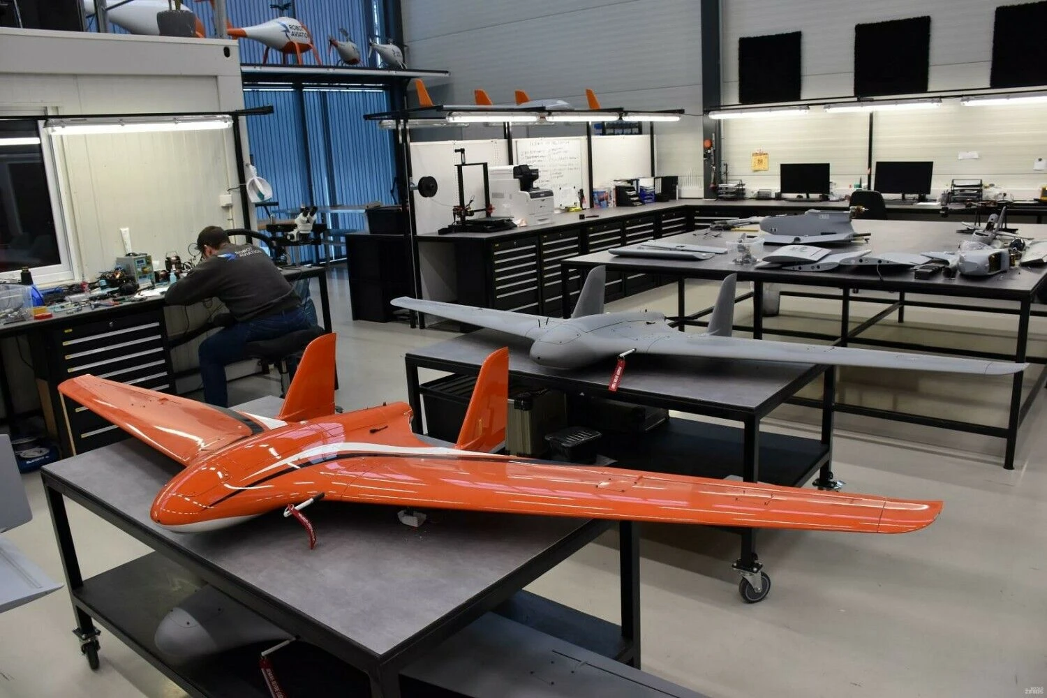 Lino Butkaus (VŽ) nuotr.