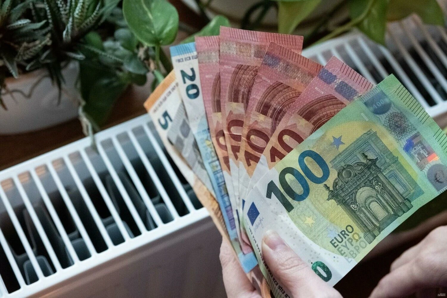 Vladimiro Ivanovo (VŽ) nuotr.