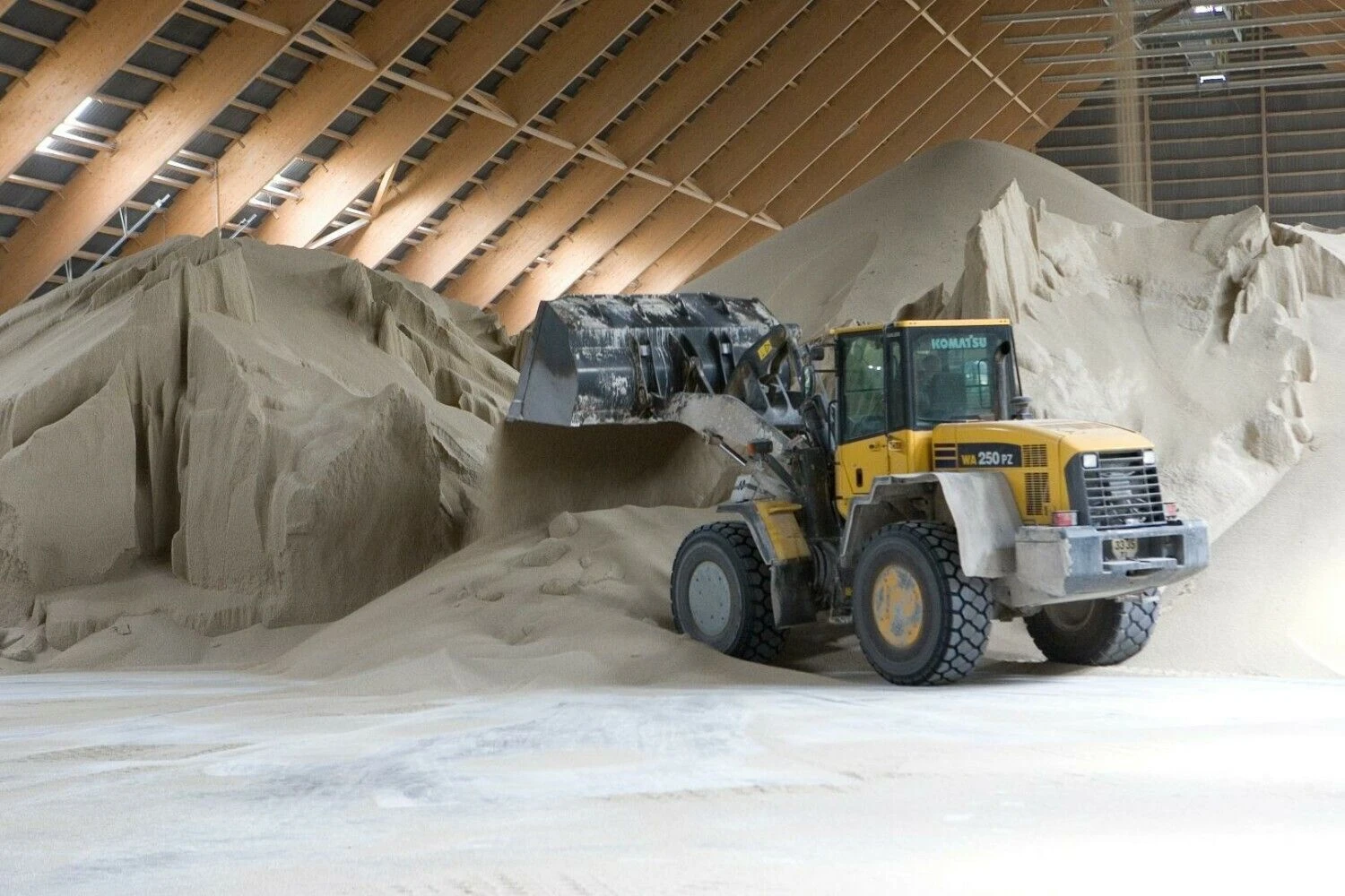 Juditos Grigelytės (VŽ) nuotr.