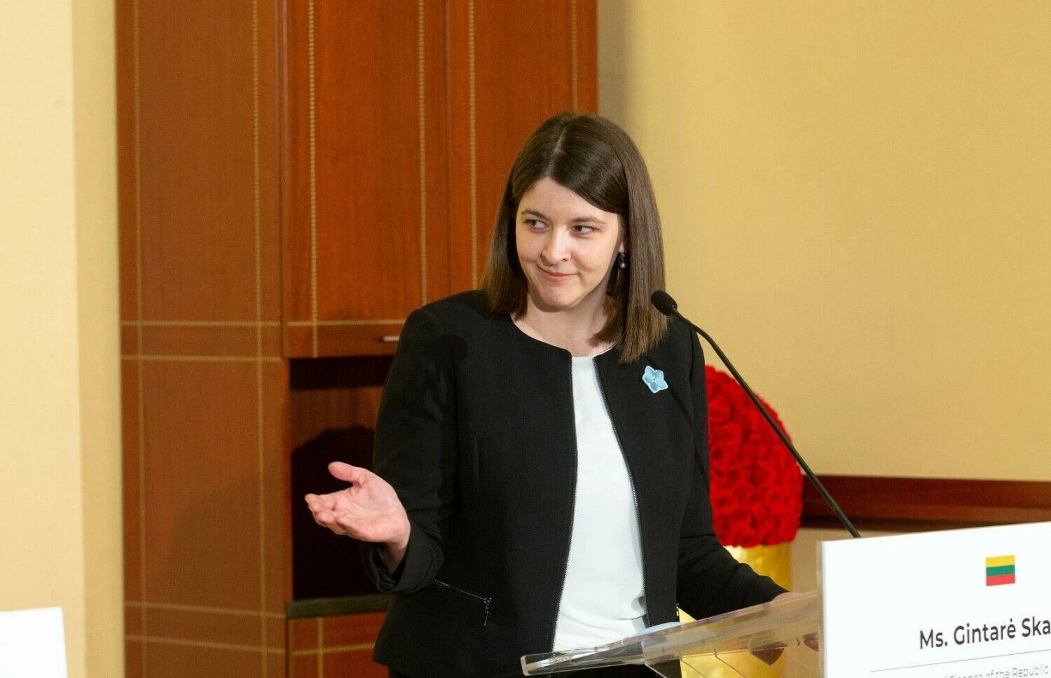 Gintarė Skaistė, finansų ministrė. Juditos Grigelytės (VŽ) nuotr.