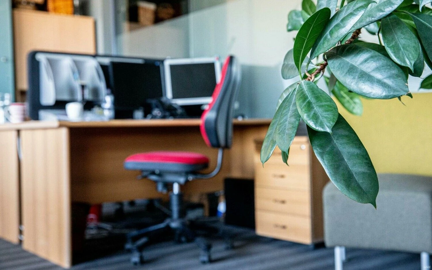 Juditos Grigelytės (VŽ) nuotr.