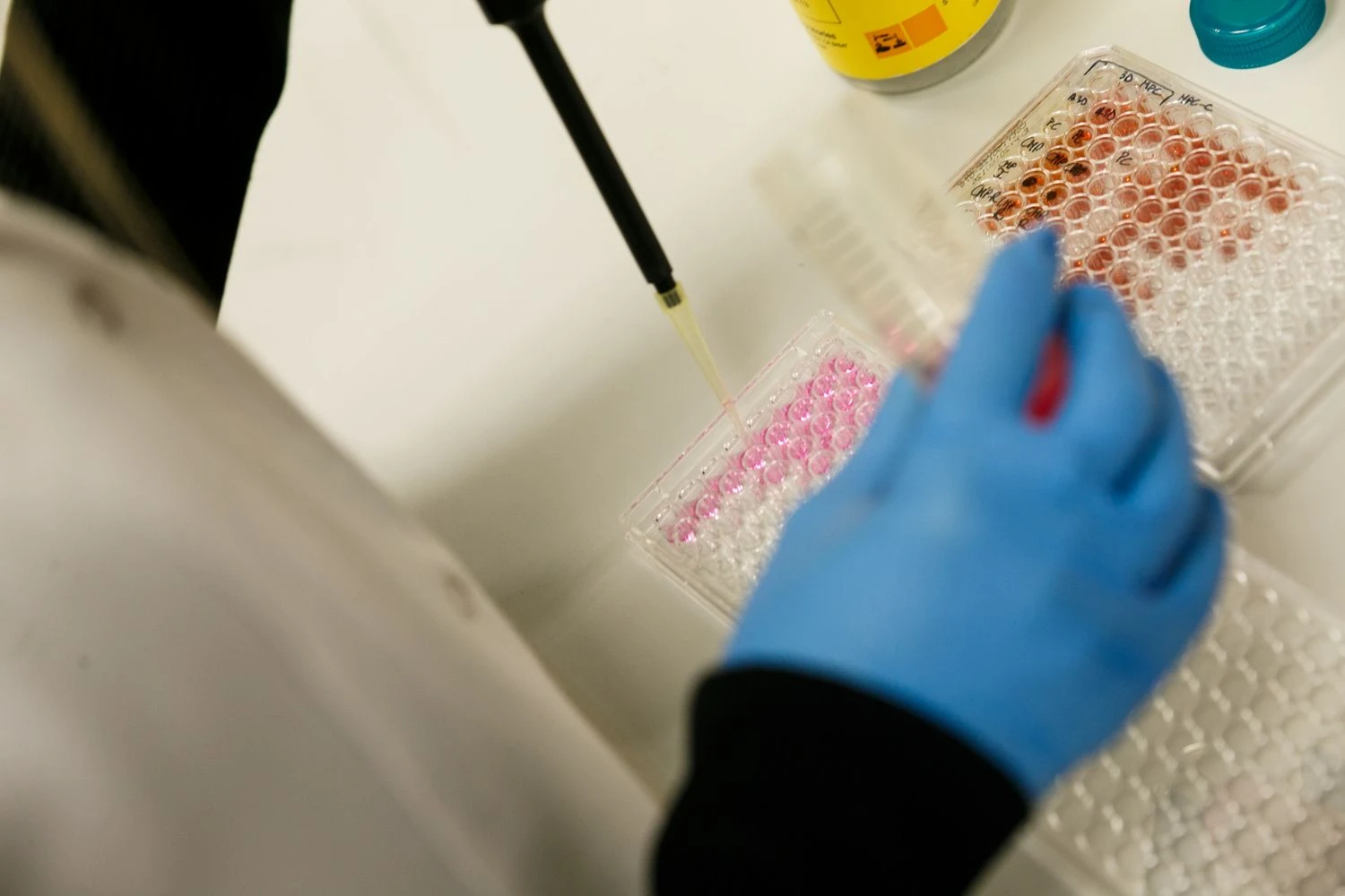 Vladimiro Ivanovo (VŽ) nuotr.