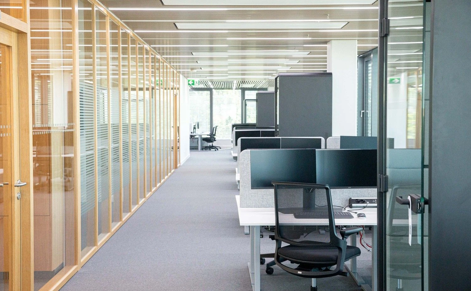 Juditos Grigelytės (VŽ) nuotr.