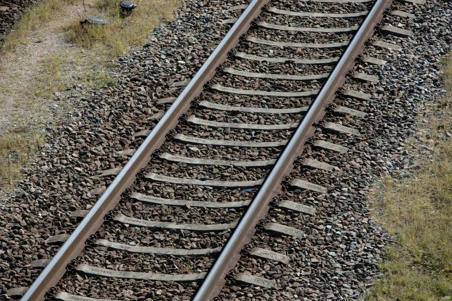 Vladimiro Ivanovo (VŽ) nuotr.