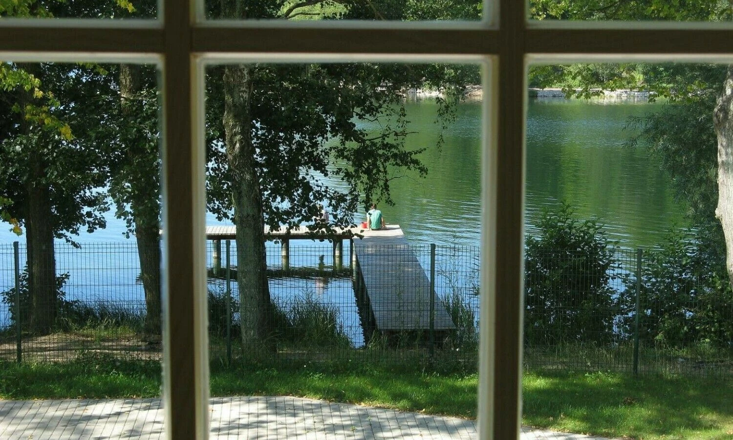 Vladimiro Ivanovo (VŽ) nuotr.