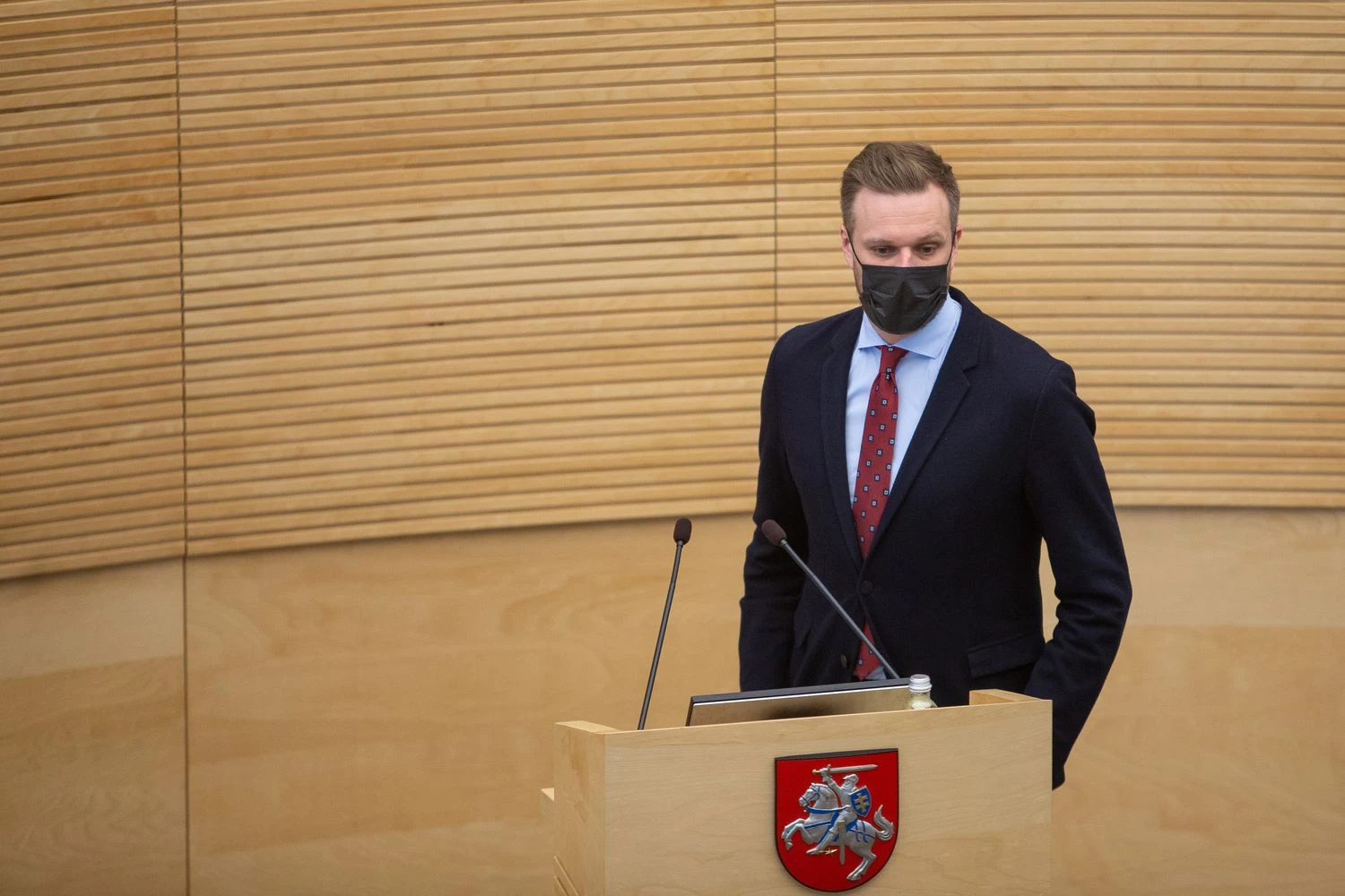 Vyriausybės valanda LR Seime. Vladimiro Ivanovo (VŽ) nuotr.