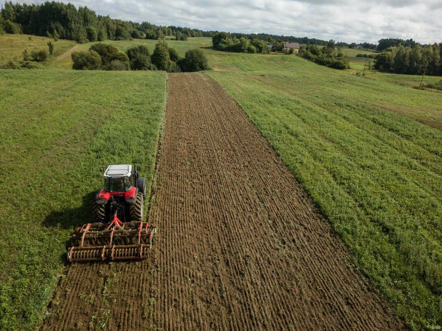 Vladimiro Ivanovo (VŽ) nuotr.