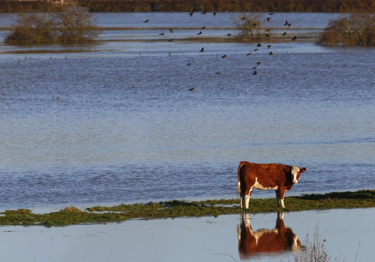 Darren Staples („Reuters“ / „Scanpix“) nuotr.