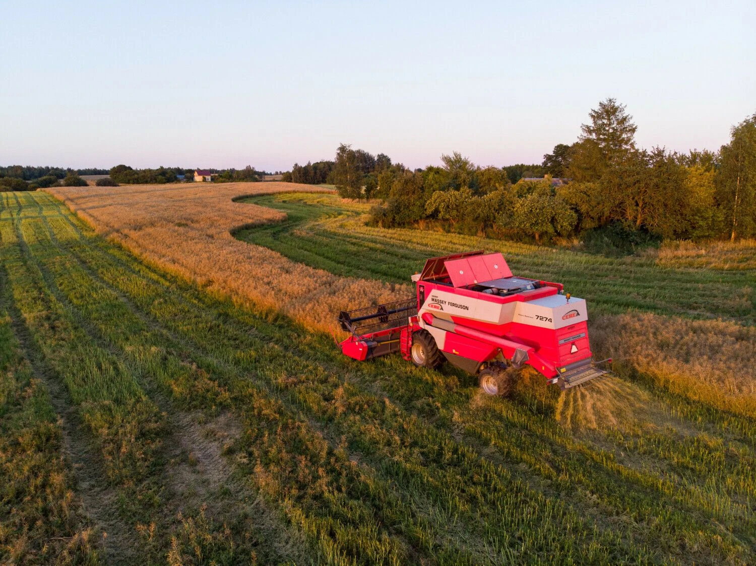 Vladimiro Ivanovo (VŽ) nuotr.