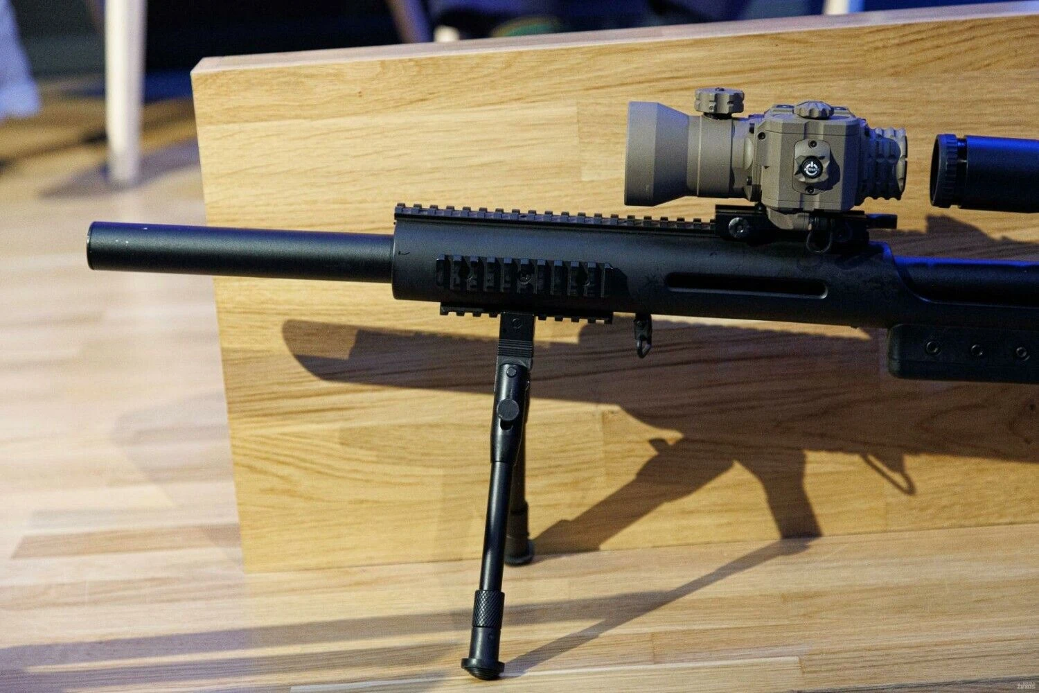 Vladimiro Ivanovo (VŽ) nuotr.