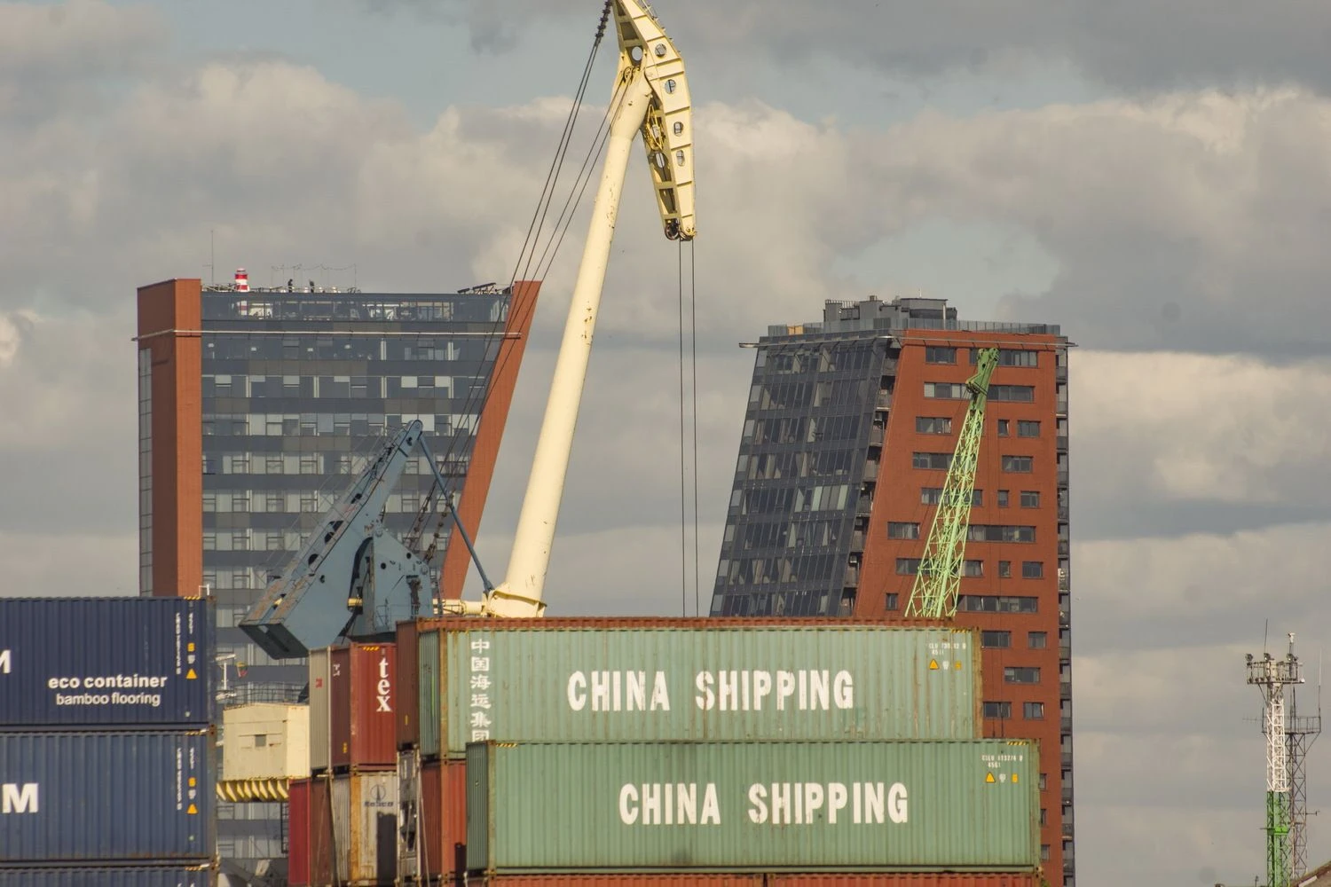 Algimanto Kalvaičio nuotr.