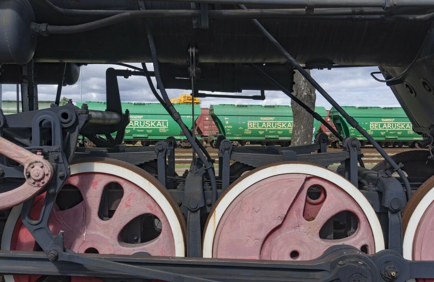 Algimanto Kalvaičio (VŽ) nuotr.