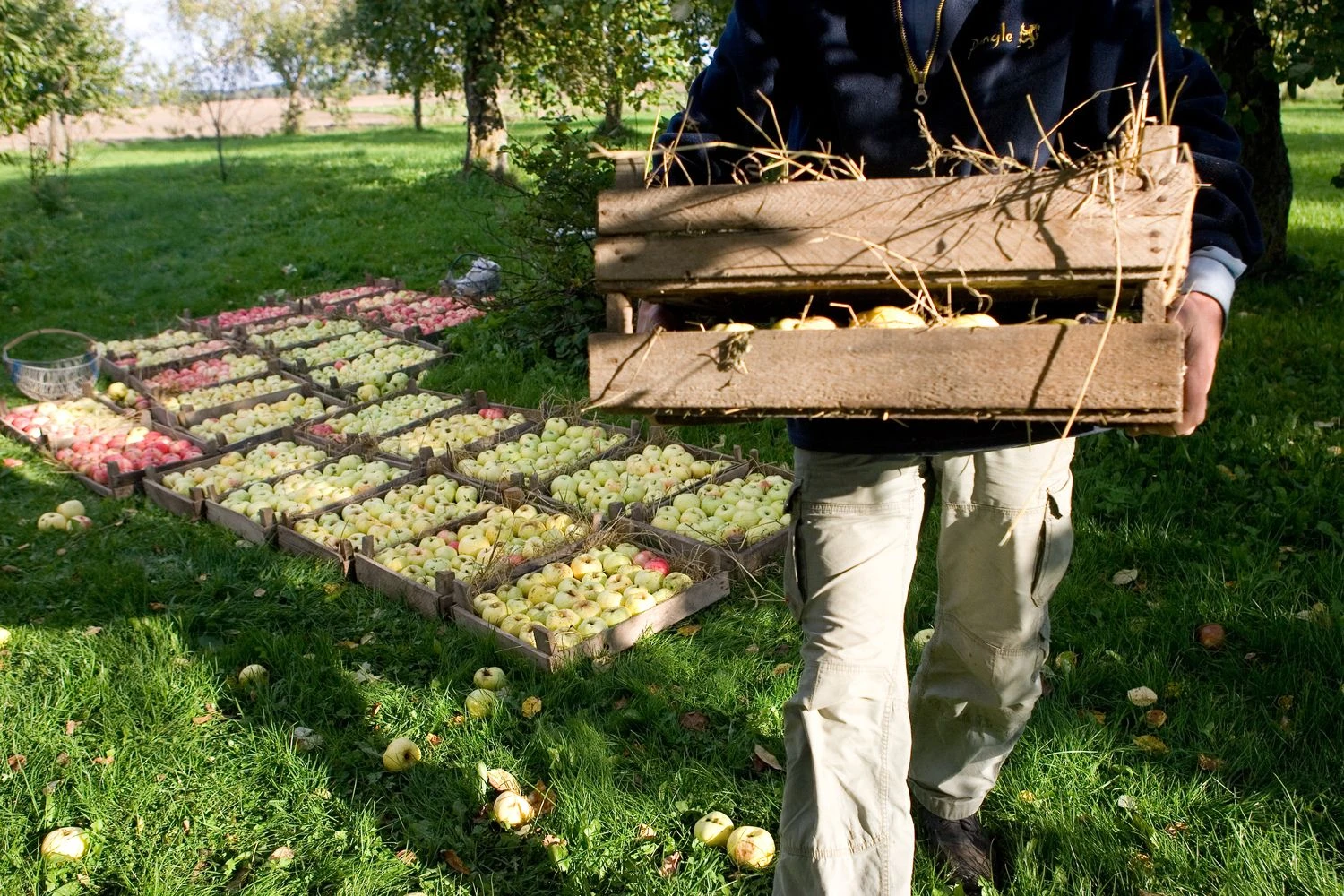Juditos Grigelytės (VŽ) nuotr.