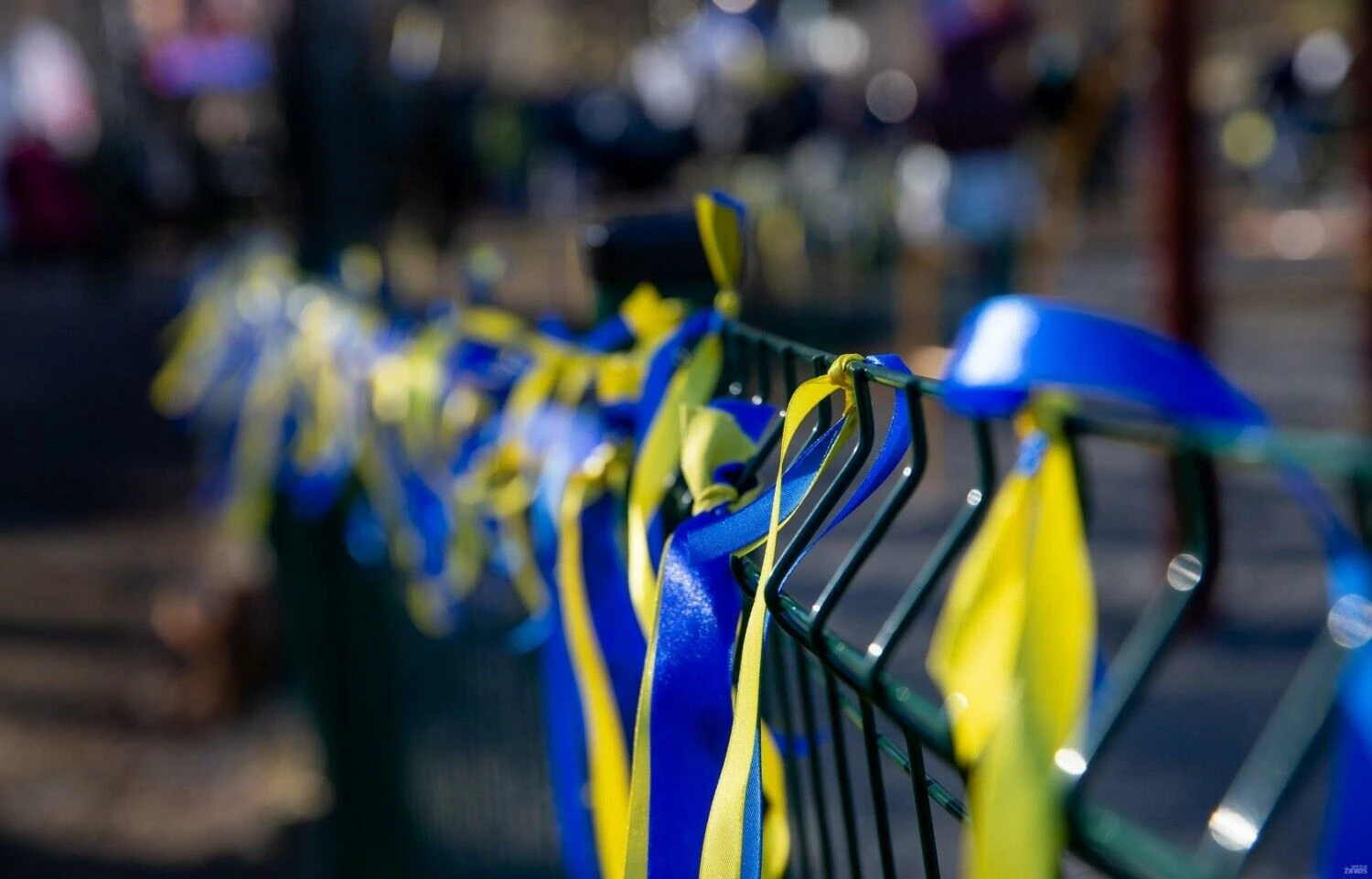 Juditos Grigelytės (VŽ) nuotr.