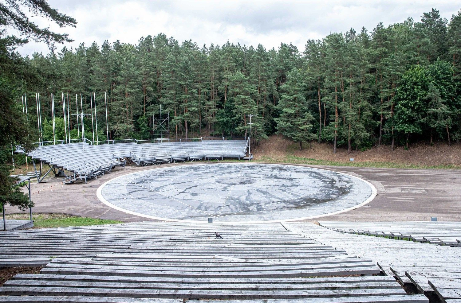 Juditos Grigelytės (VŽ) nuotr.