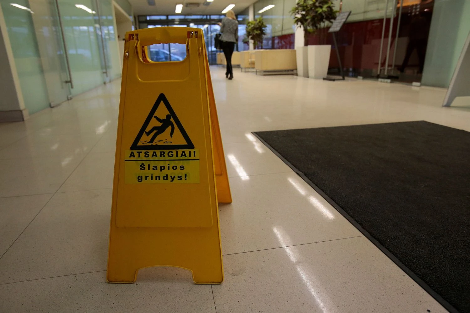 Vladimiro Ivanovo (VŽ) nuotr.