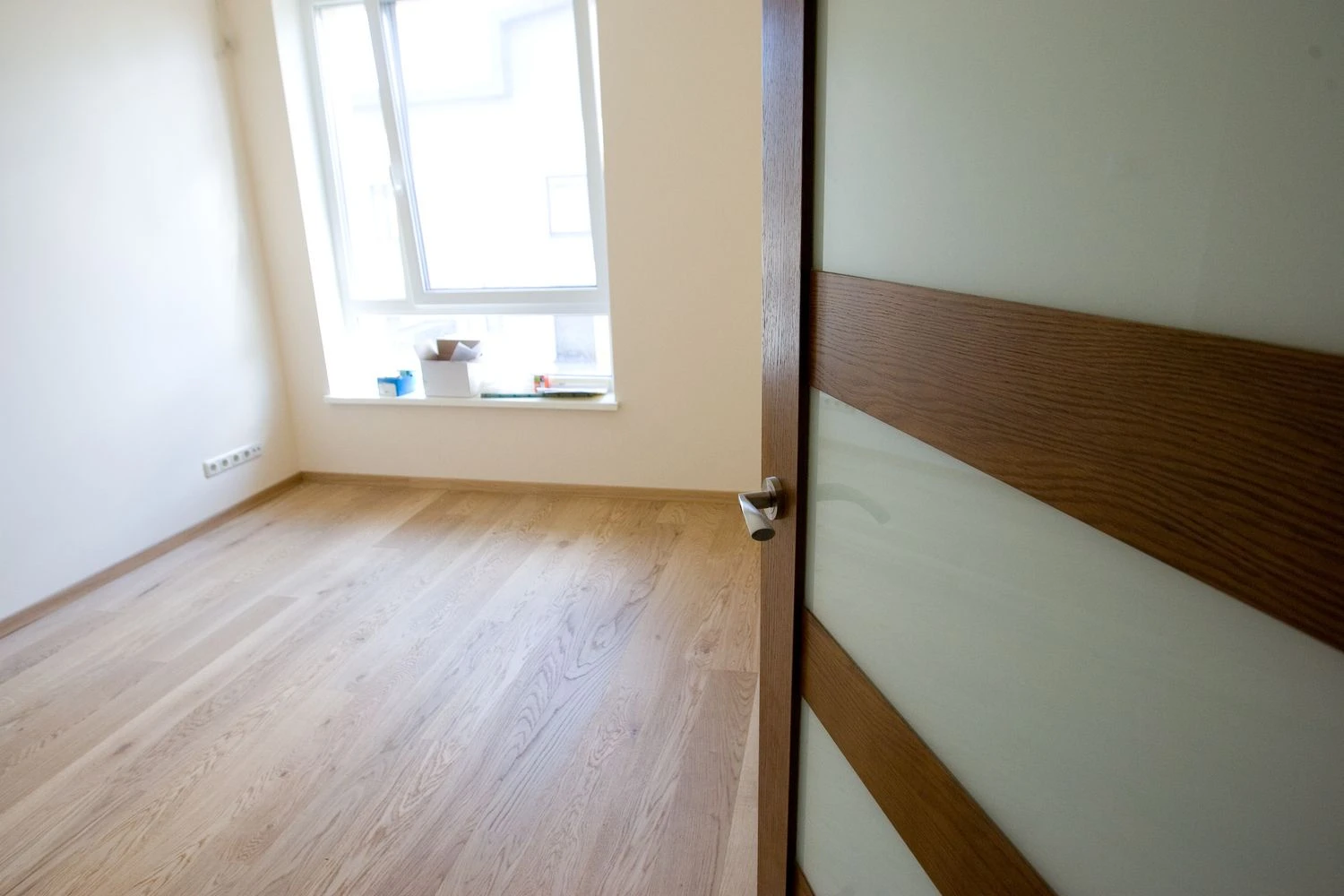 Vladimiro Ivanovo (VŽ) nuotr.