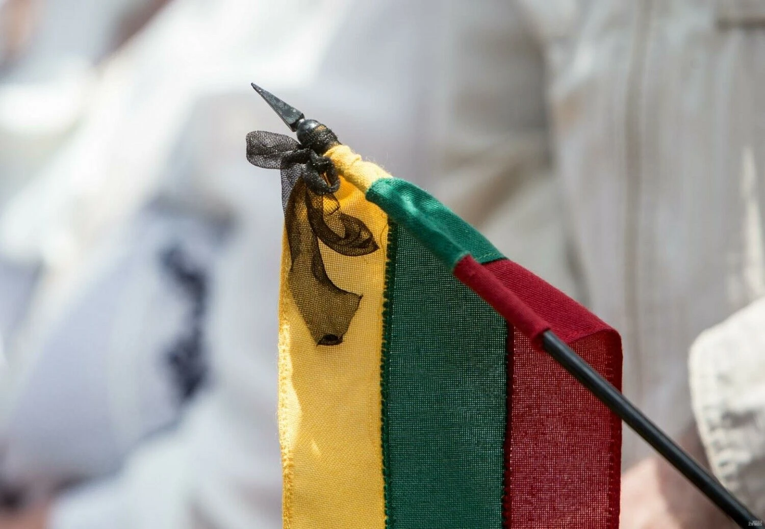 Juditos Grigelytės (VŽ) nuotr.