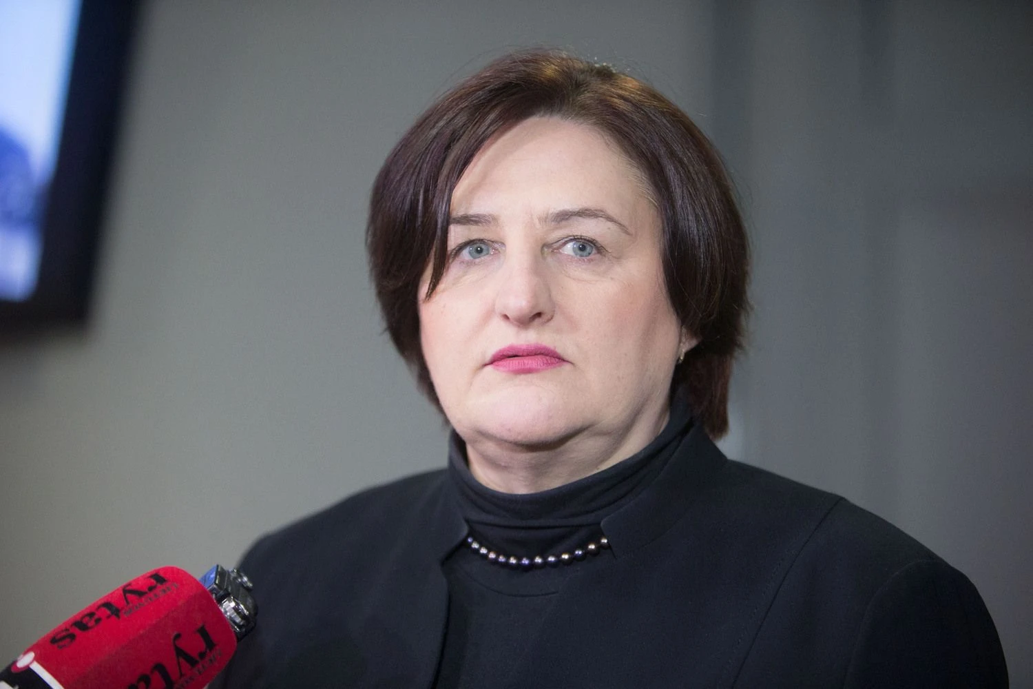 Juditos Grigelytės (VŽ) nuotr.