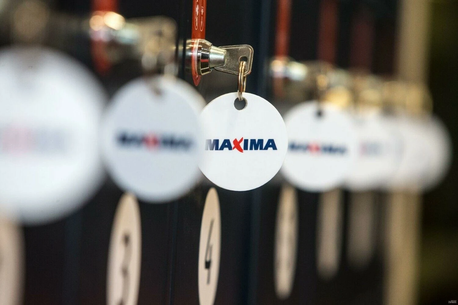 Juditos Grigelytės (VŽ) nuotr.