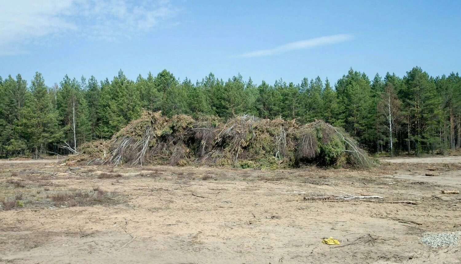 Juditos Grigelytės (VŽ) nuotr.