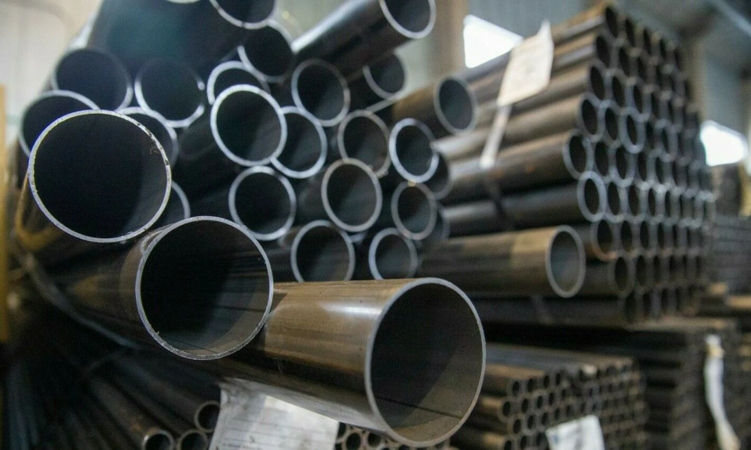 Vladimiro Ivanovo (VŽ) nuotr.