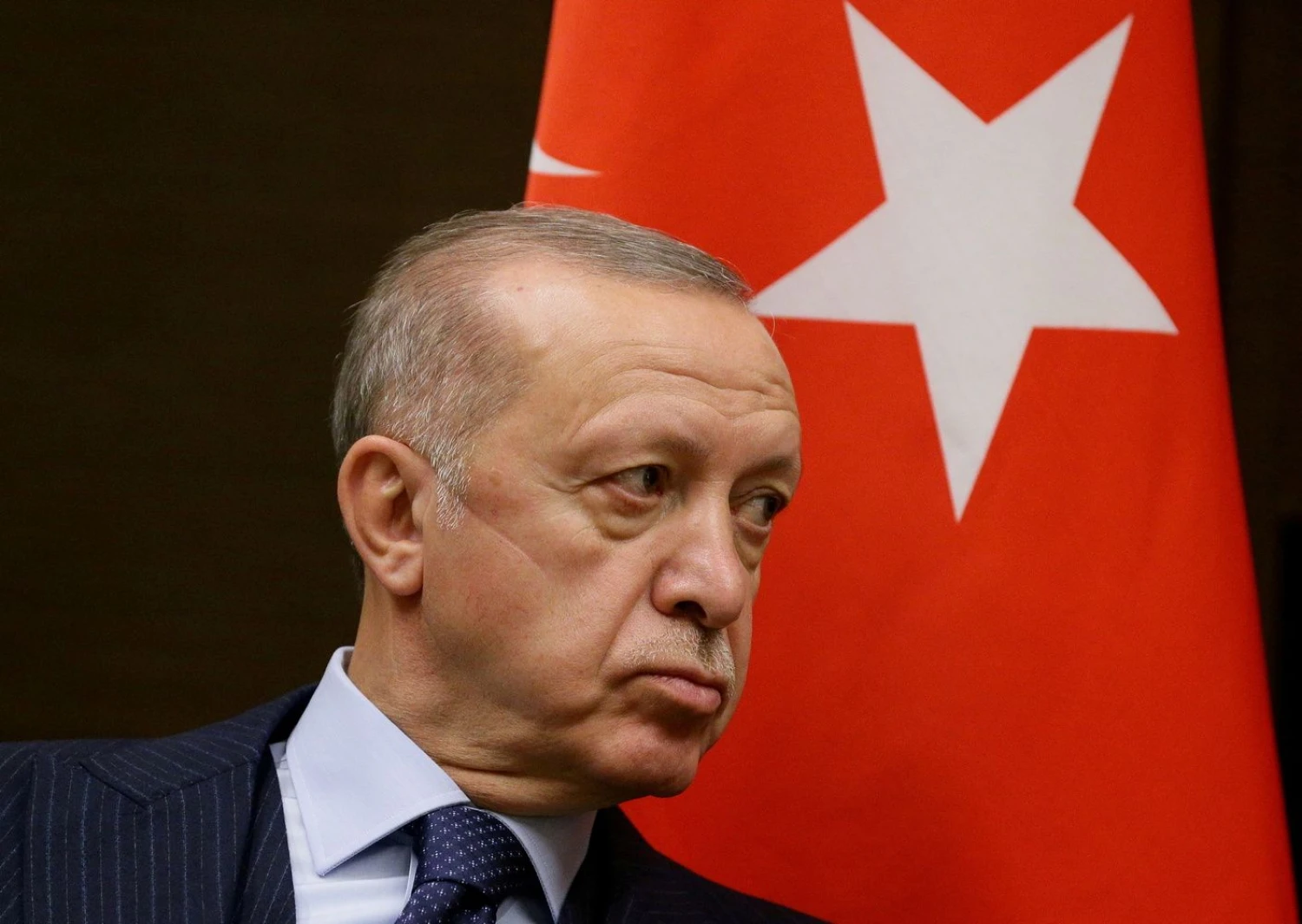 Turkijos prezidentas Recepas Tayyipas Erdoganas. Vladimiro Smirnovo („Sputnik“ / „Scanpix“) nuotr. 