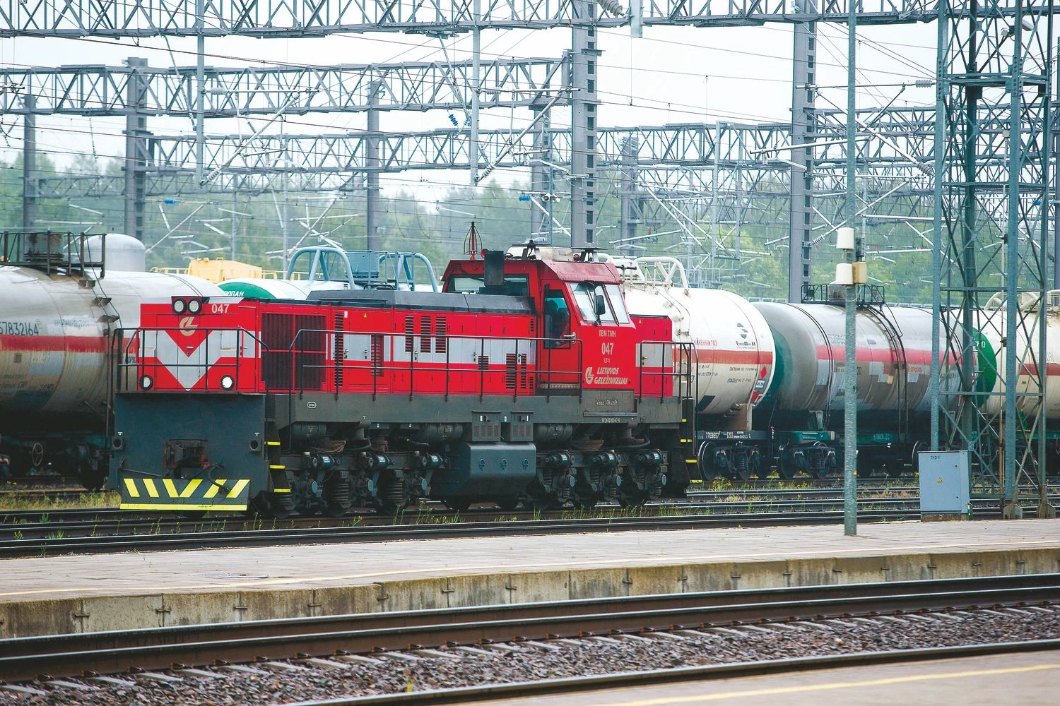 Vladimiro Ivanovo (VŽ) nuotr.  