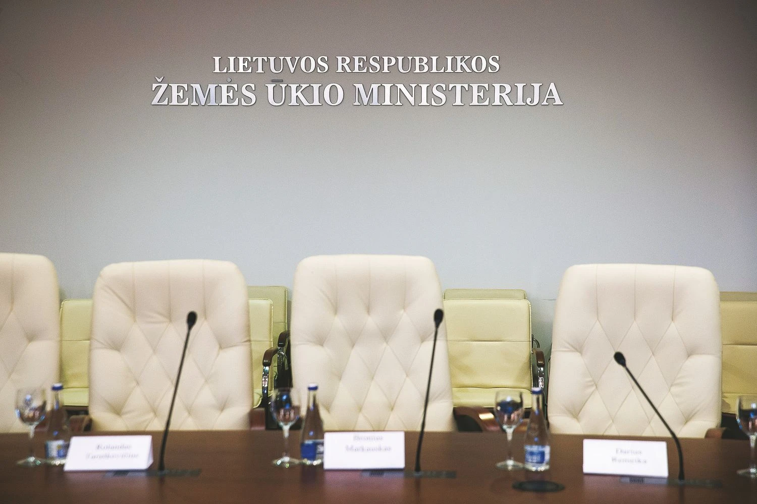 Vladimiro Ivanovo (VŽ) nuotr.