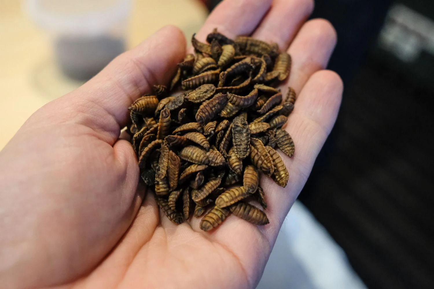  Vladimiro Ivanovo (VŽ) nuotr.