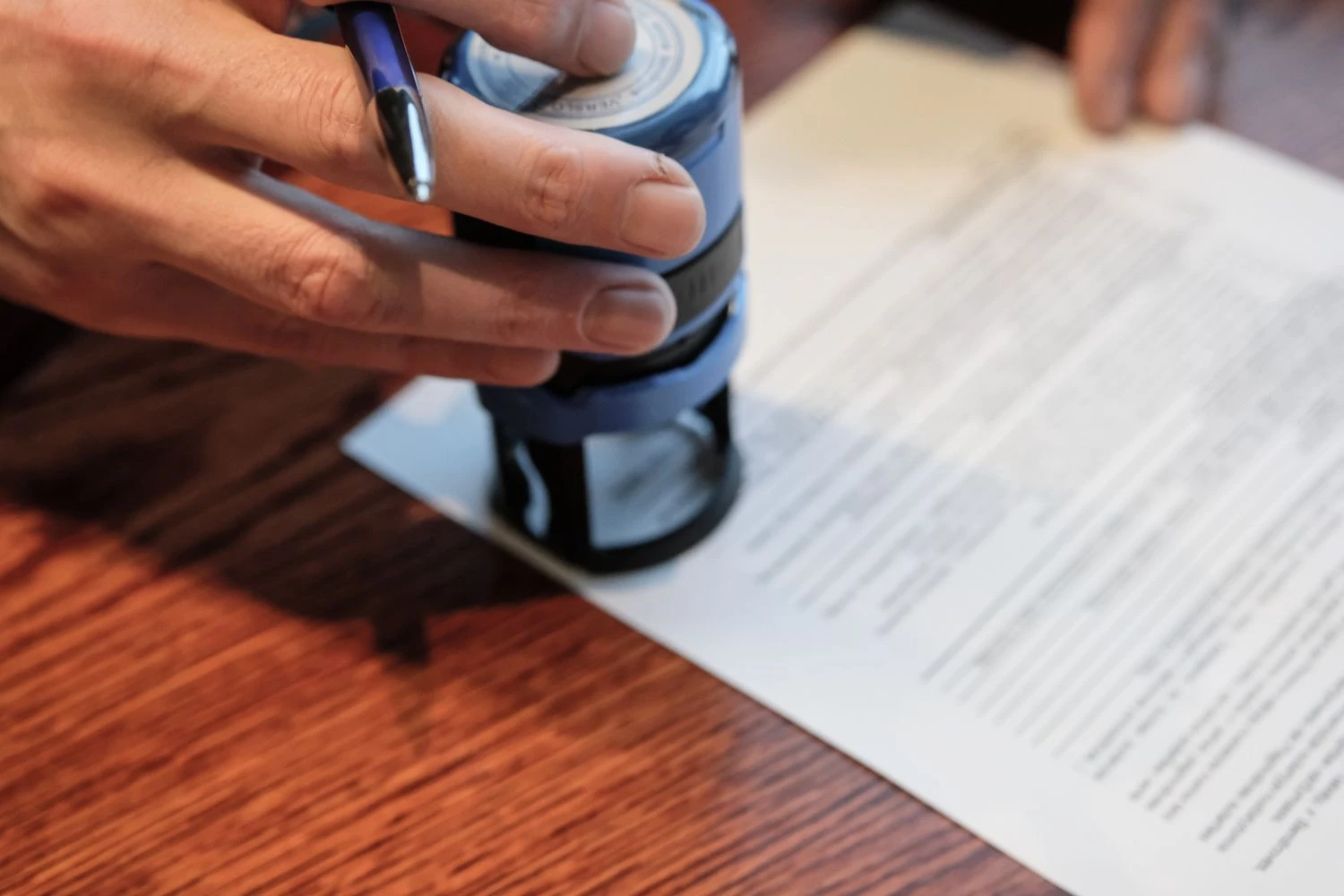 Vladimiro Ivanovo (VŽ) nuotr.