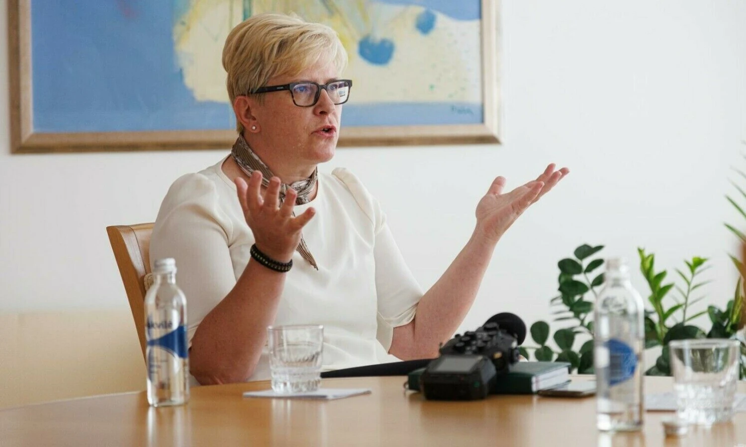 Vladimiro Ivanovo (VŽ) nuotr.