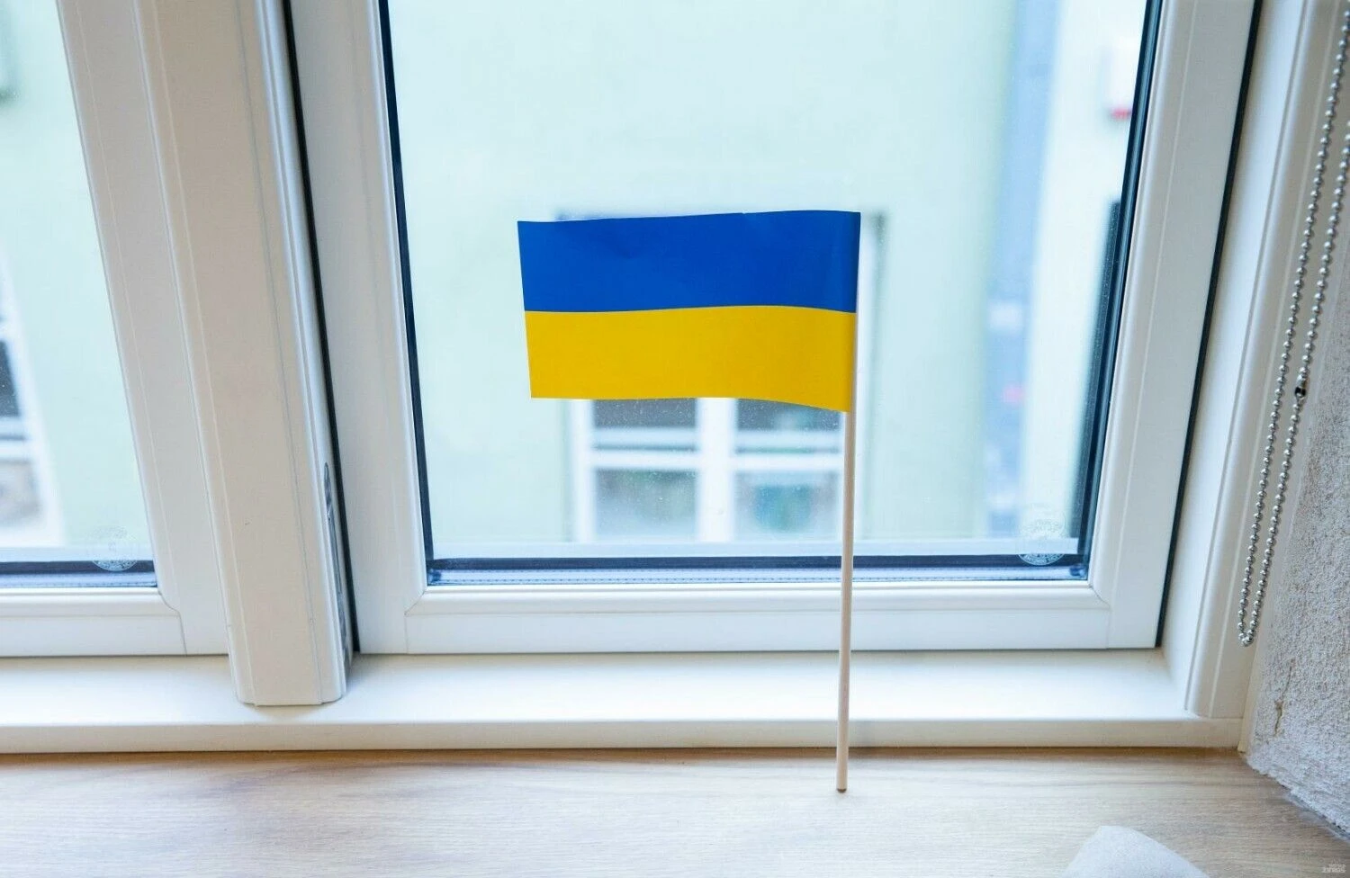 Juditos Grigelytės (VŽ) nuotr.