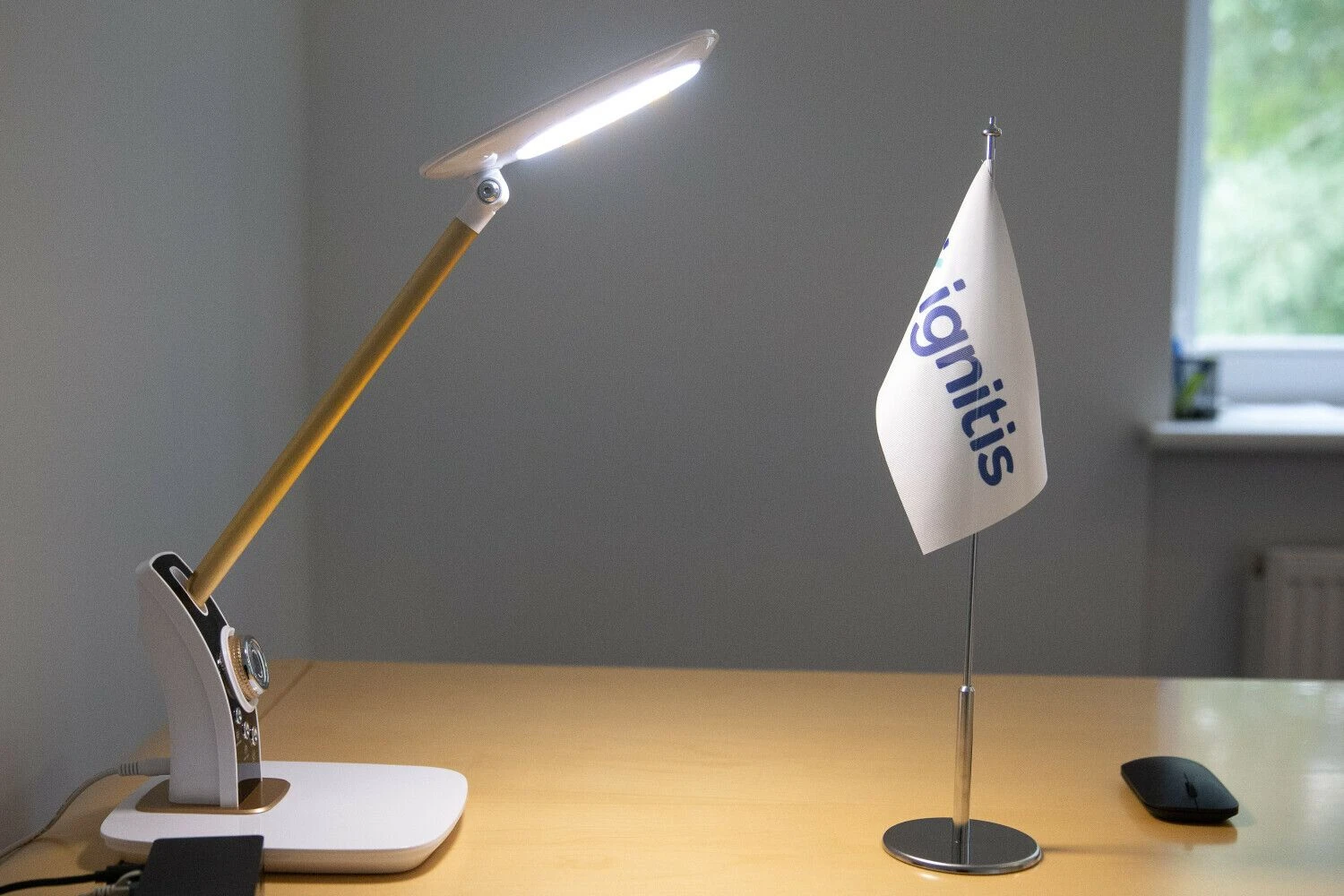 Vladimiro Ivanovo (VŽ) nuotr.