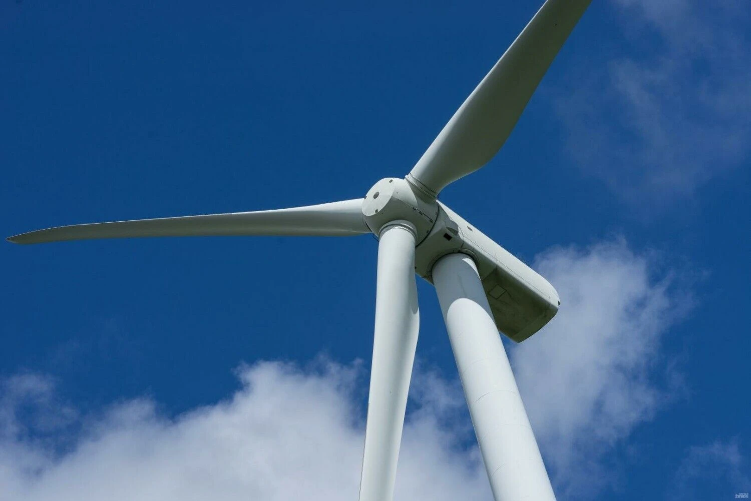 „Shutterstock“ nuotr.