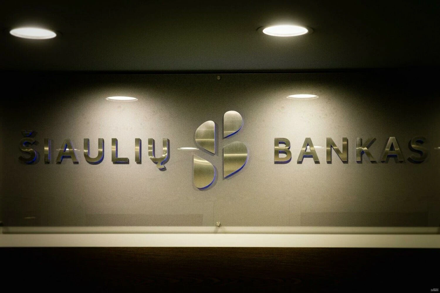 Vladimiro Ivanovo (VŽ) nuotr.