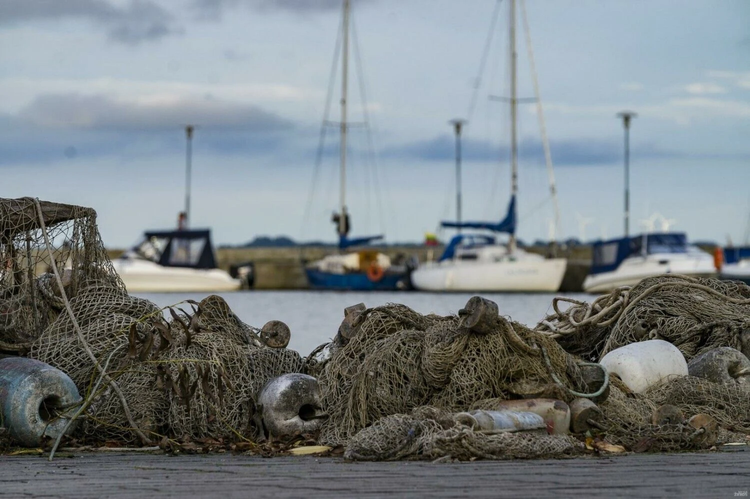 Algimanto Kalvaičio nuotr.