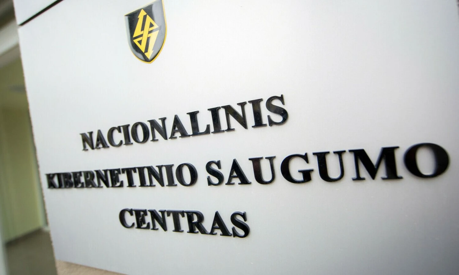 Luko Balandžio (BNS) nuotr.